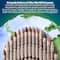 12 Packs: 24 ct. (288 total) Crayola® Colors of the World™ Skin Tone Crayons